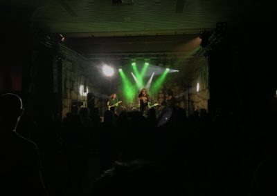 IV. Odenwälder Rocknacht - Steinbachtalhalle Lützelbach-Seckmauern - 2016